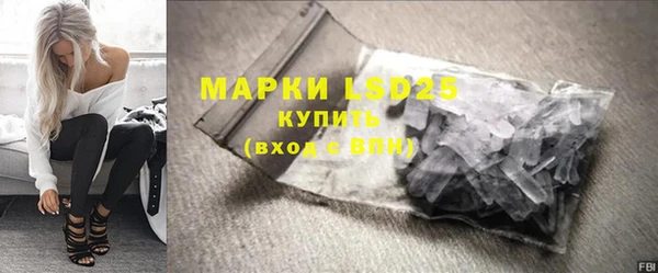 PSILOCYBIN Бородино