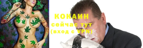 PSILOCYBIN Бородино