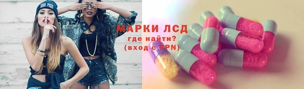 PSILOCYBIN Бородино