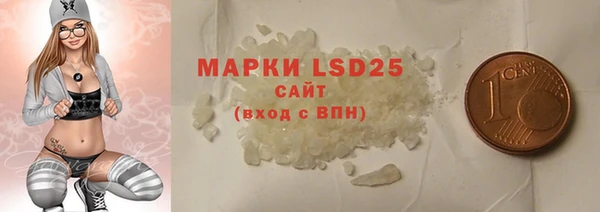 PSILOCYBIN Бородино