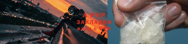 гидра Бугульма