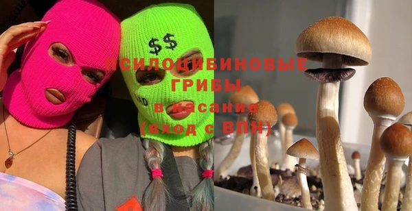 прущий лед Бронницы