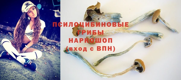 гидра Бугульма
