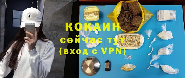 PSILOCYBIN Бородино